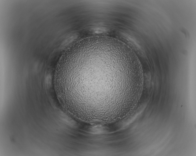 X0000112110269200908041547