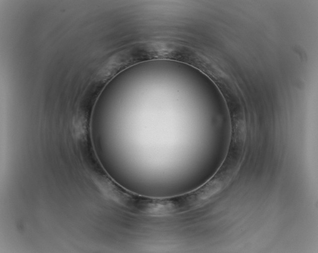 X0000112110274200908041547