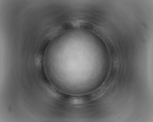 X0000112110275200908041547