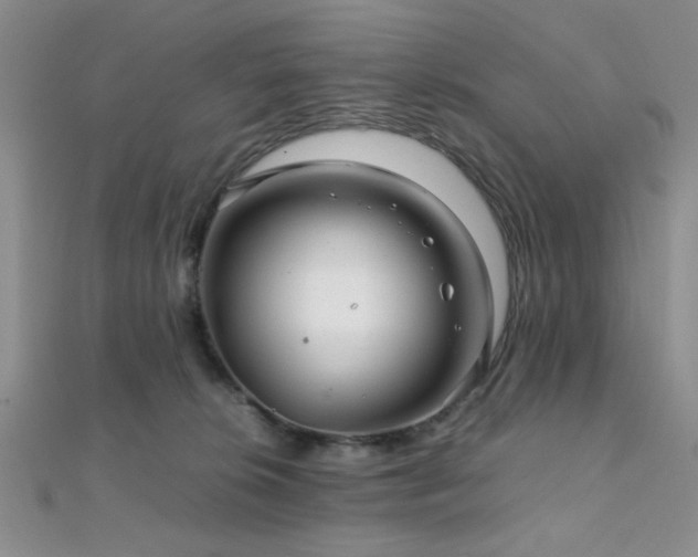 X0000112110276200908041547