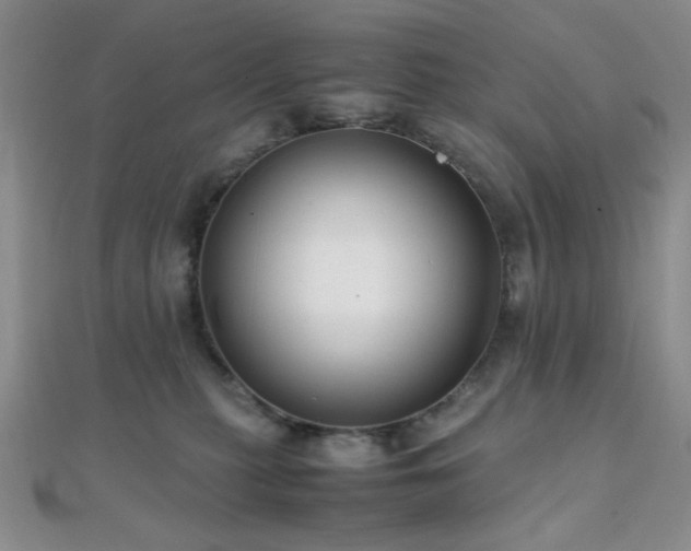 X0000112110279200908041547