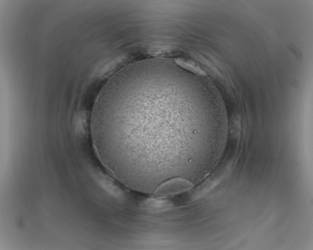 X0000112110280200908041547