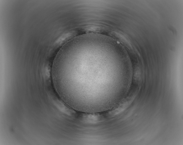 X0000112110282200908041547