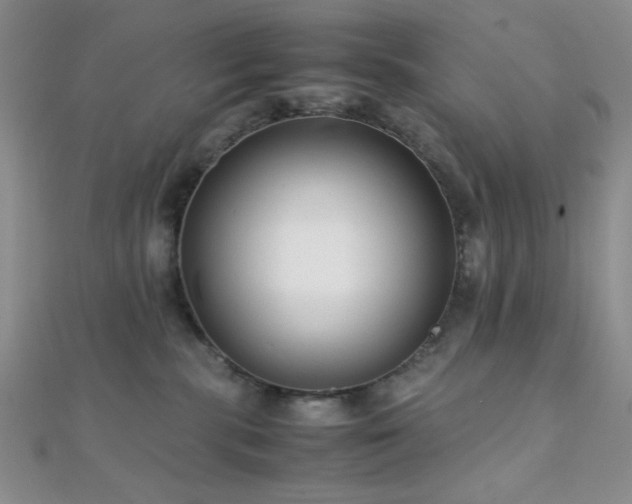 X0000112110283200908041547