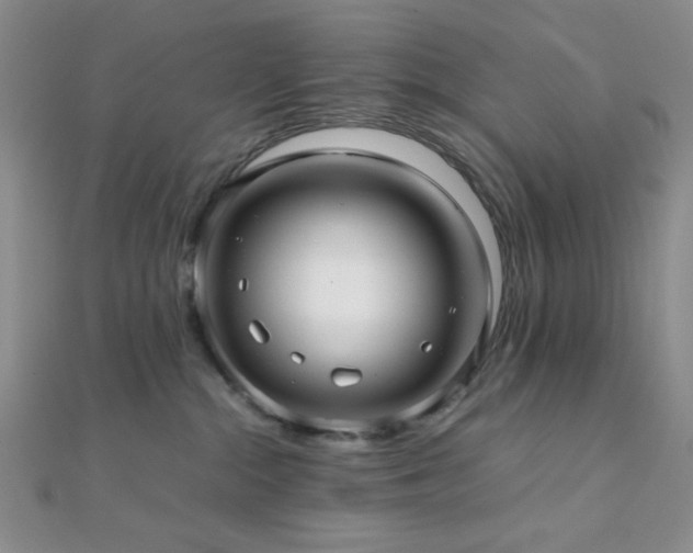 X0000112110284200908041547