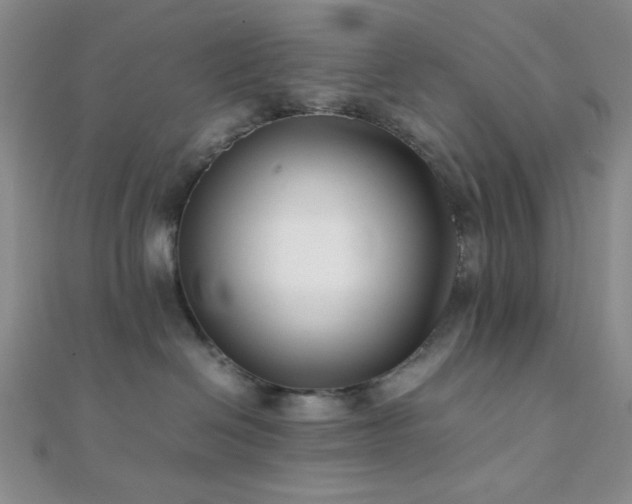 X0000112110286200908041547