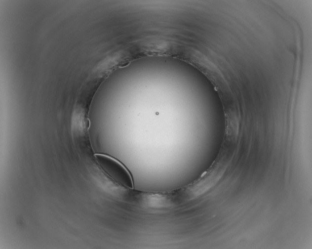 X0000112110287200908041547