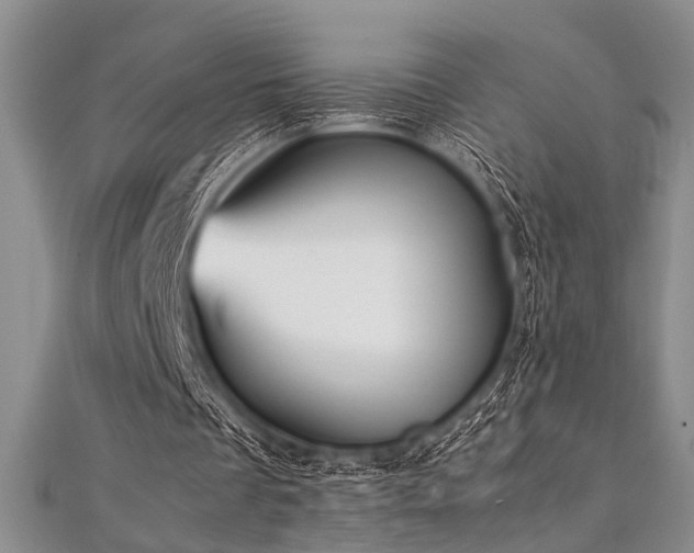 X0000112110289200908041547