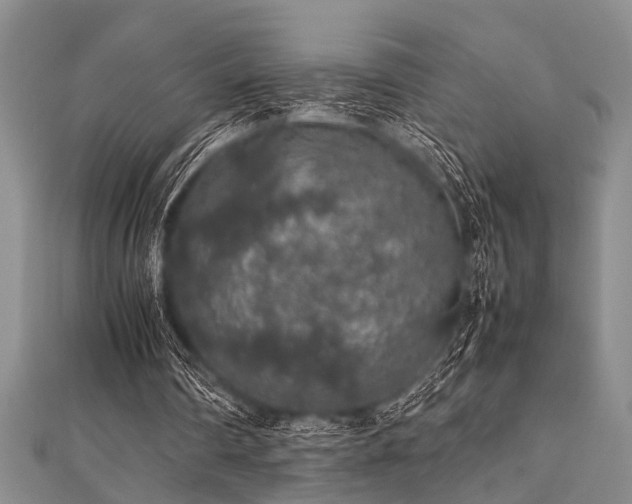 X0000112110290200908041547