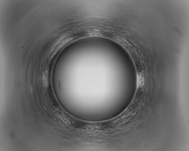 X0000112110291200908041547