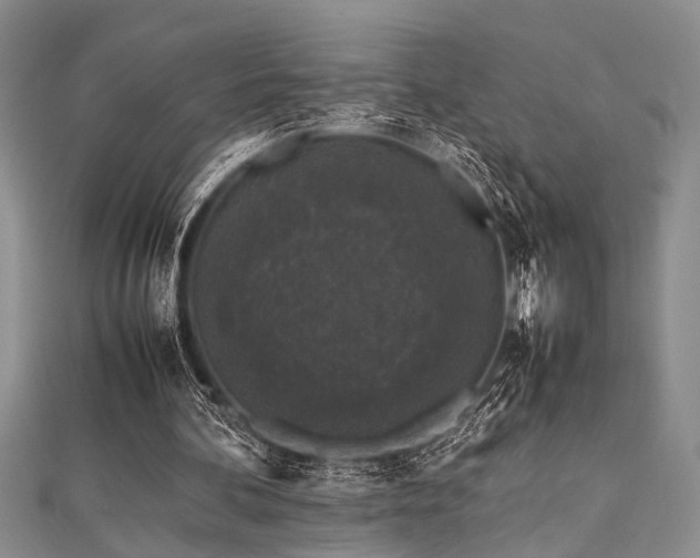 X0000112110292200908041547