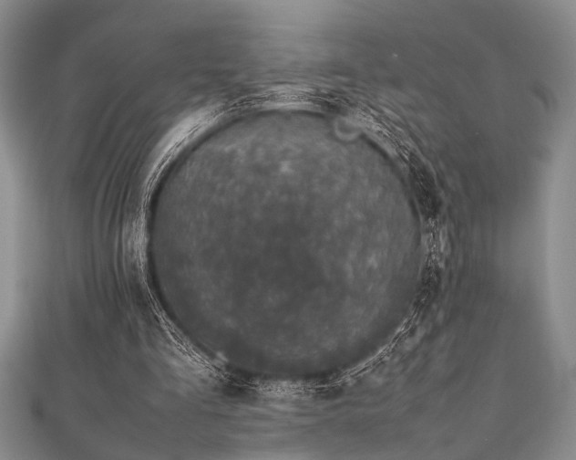 X0000112110293200908041547