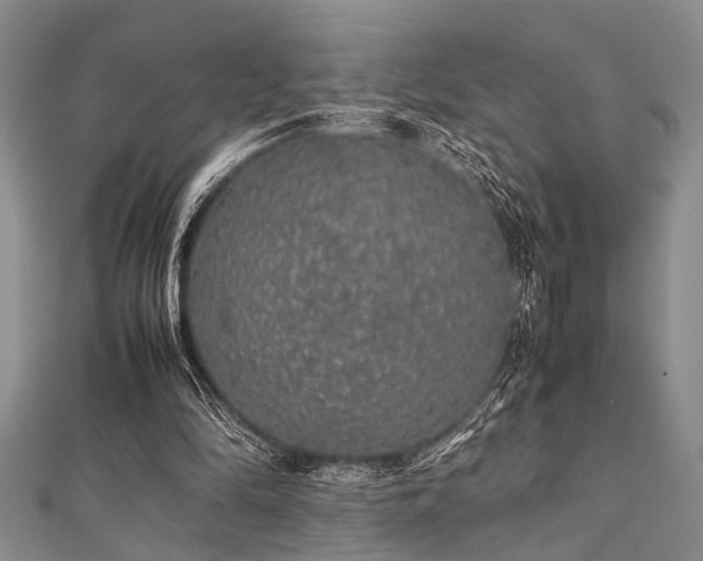 X0000112110294200908041547