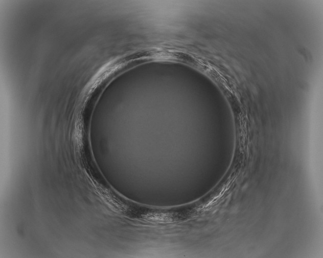 X0000112110295200908041547