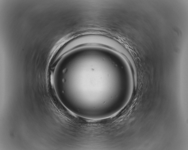 X0000112110296200908041547