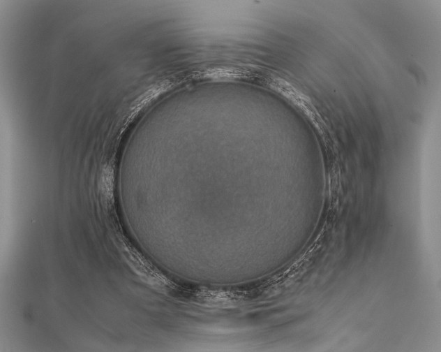 X0000112110297200908041547