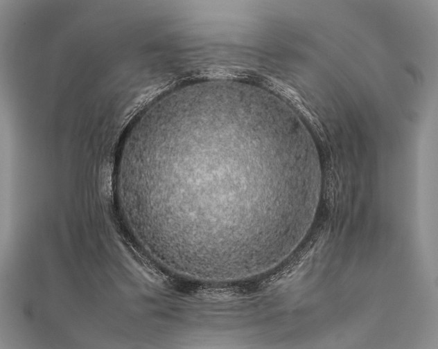 X0000112110299200908041547