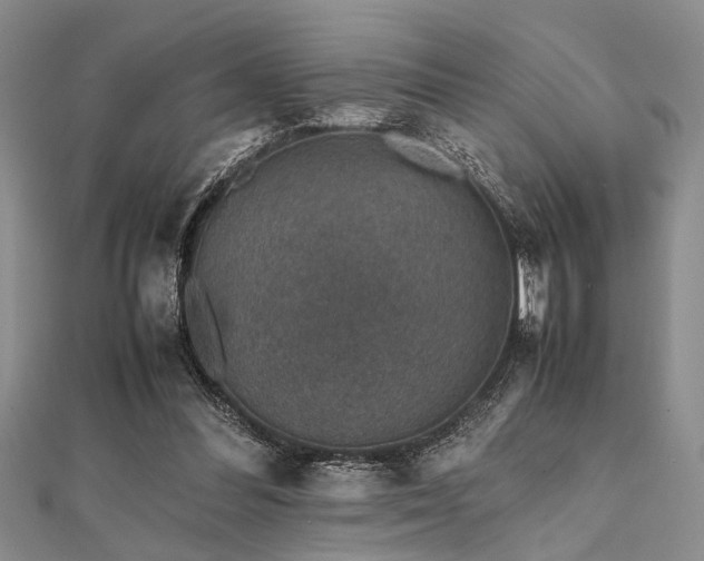 X0000112110300200908041547