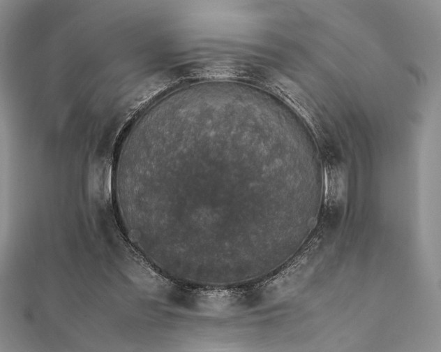 X0000112110301200908041547