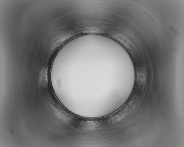 X0000112110302200908041547