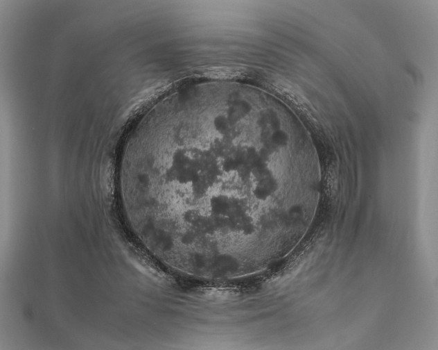 X0000112110303200908041547