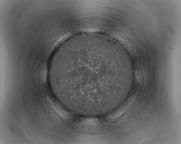 X0000112110304200908041547