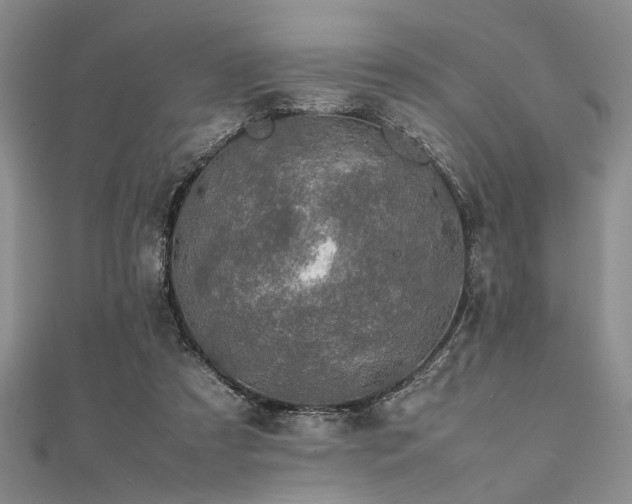 X0000112110305200908041547