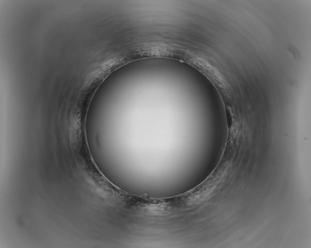 X0000112110306200908041547