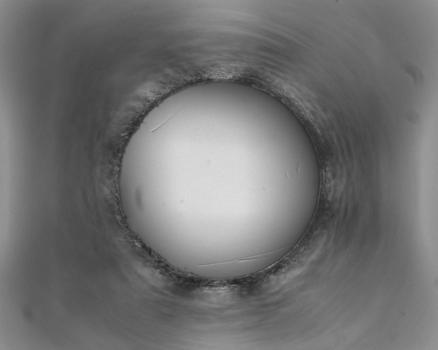 X0000112110307200908041547