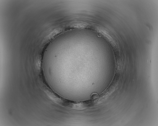 X0000112110309200908041547