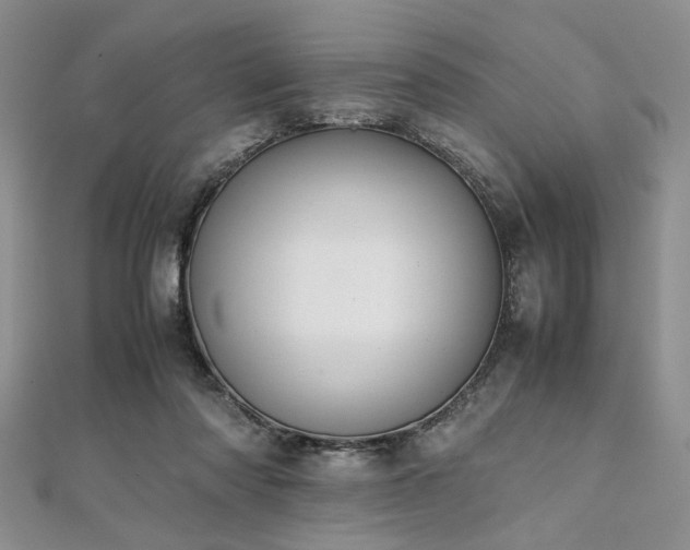 X0000112110310200908041547