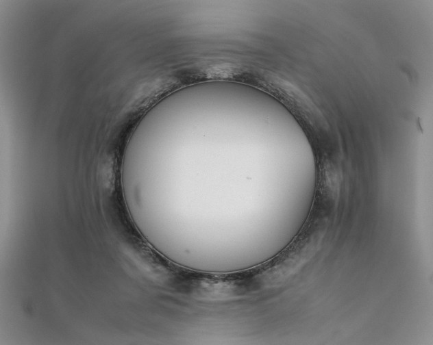 X0000112110311200908041546