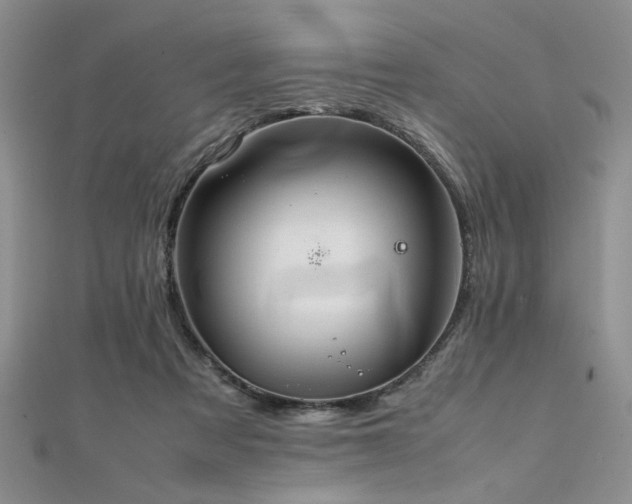 X0000112110313200908041546