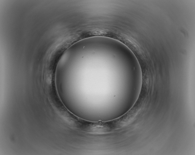 X0000112110315200908041546