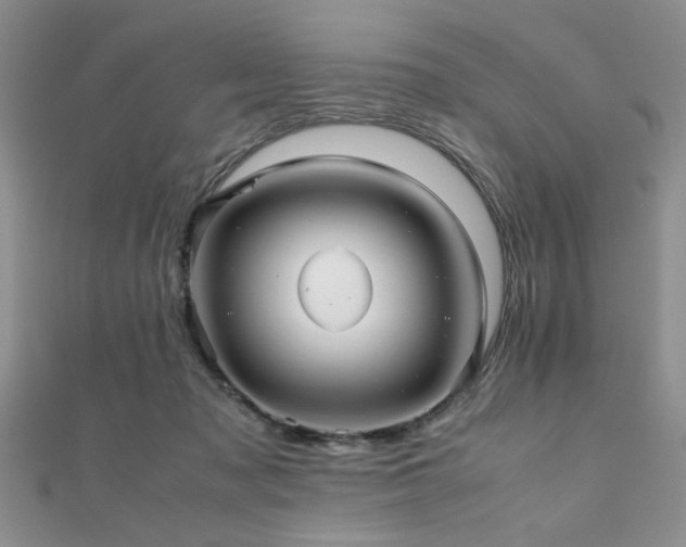 X0000112110317200908041546