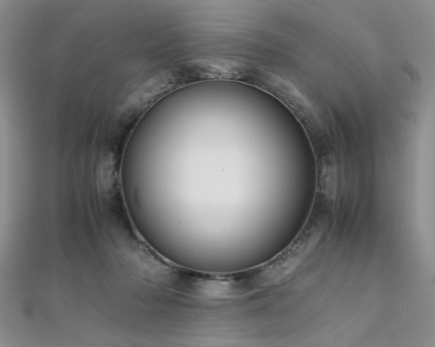 X0000112110318200908041546