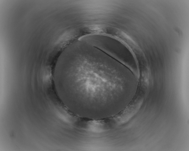 X0000112110320200908041546