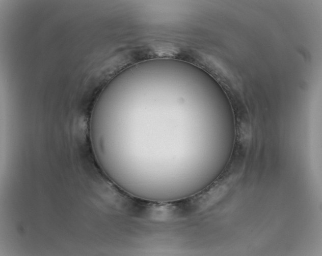 X0000112110321200908041546