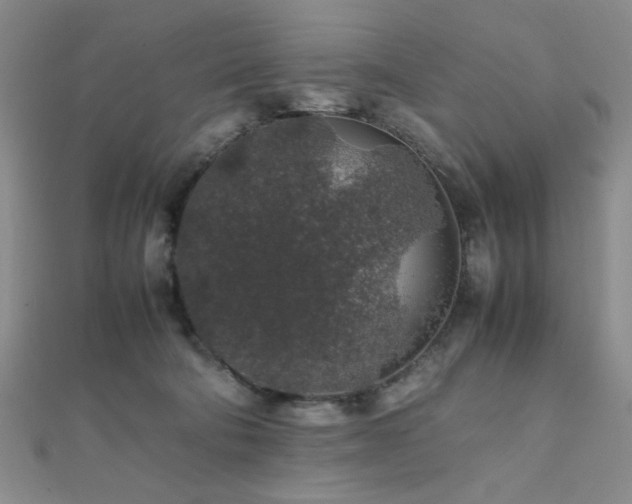 X0000112110322200908041546