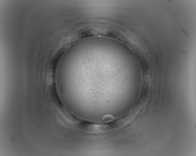 X0000112110323200908041546