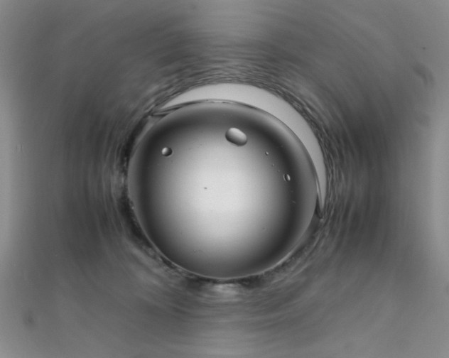 X0000112110324200908041546