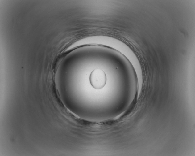 X0000112110325200908041546