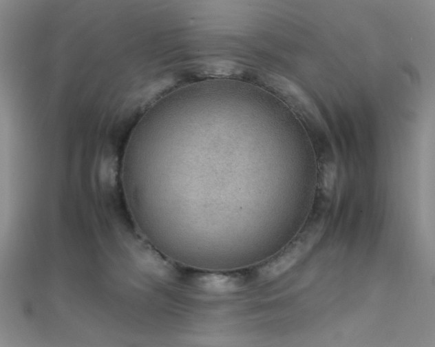 X0000112110326200908041546