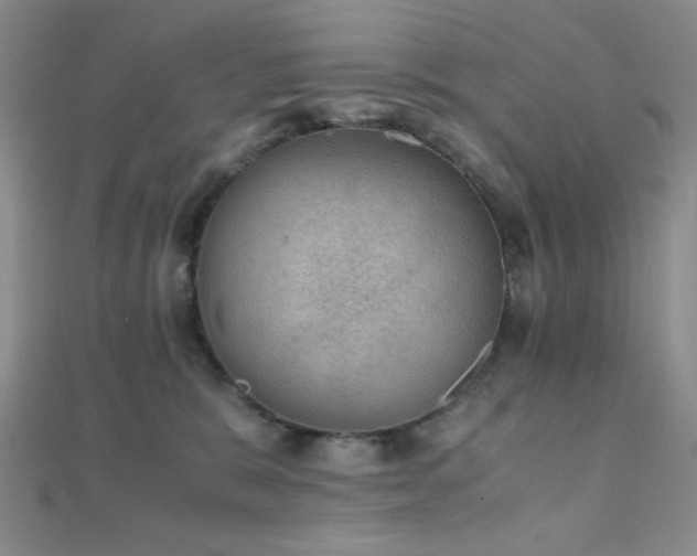 X0000112110327200908041546