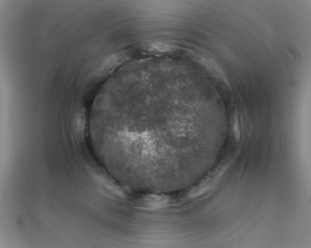 X0000112110328200908041546