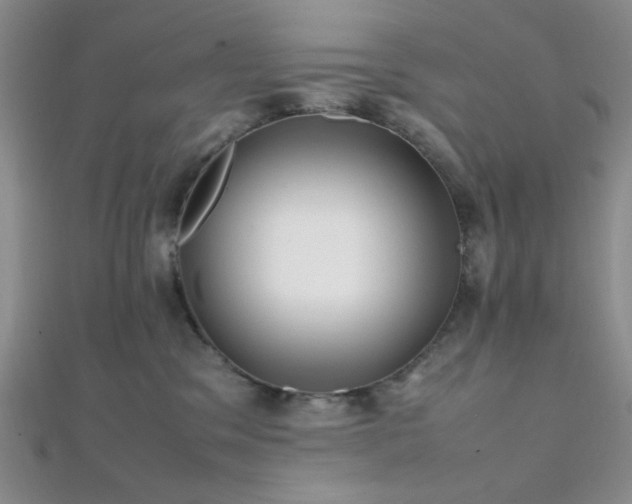 X0000112110329200908041546