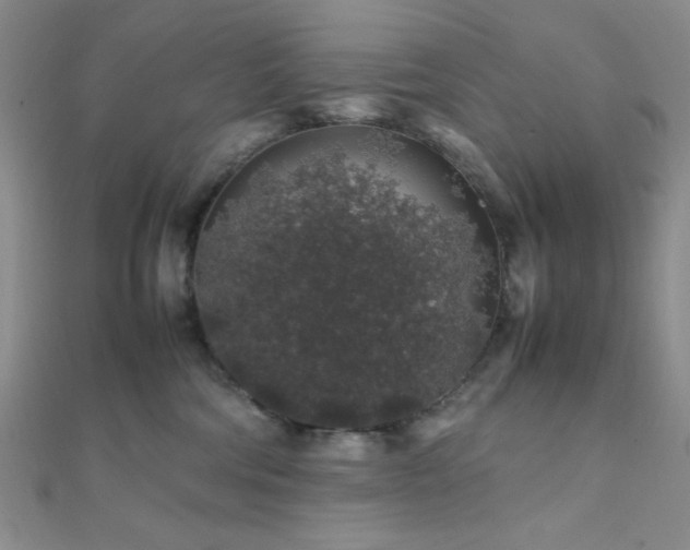 X0000112110330200908041546