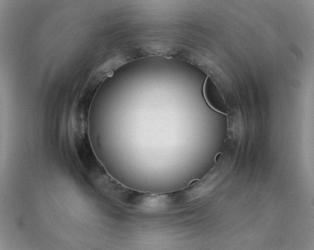 X0000112110334200908041546