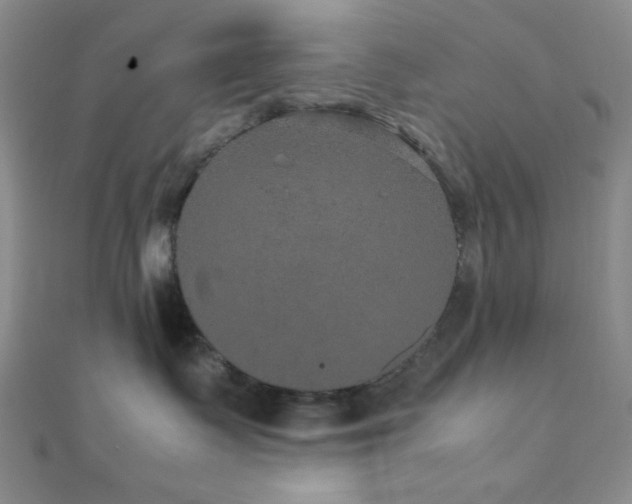 X0000112110335200908041546