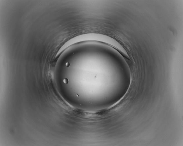 X0000112110336200908041546